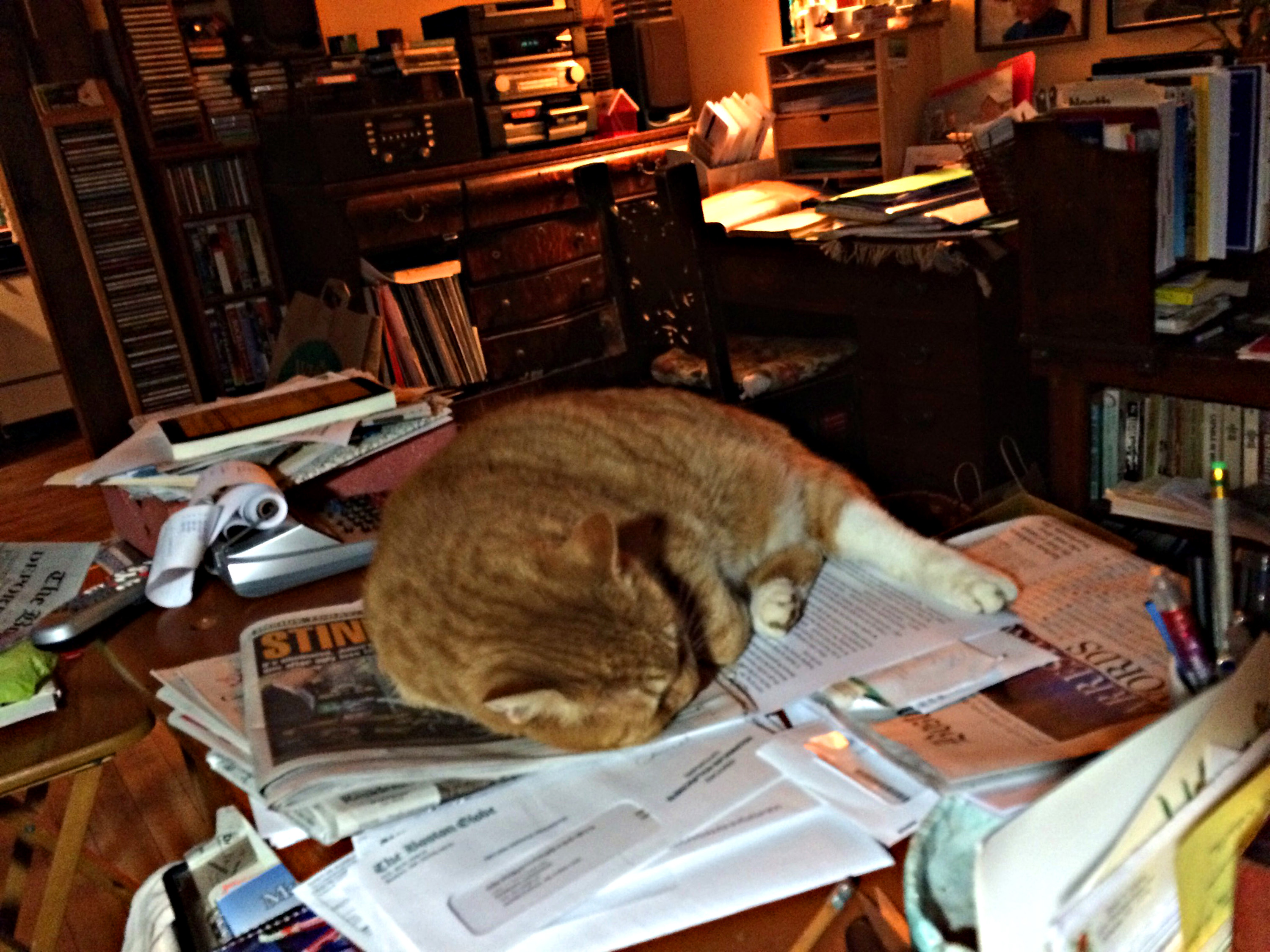 http://cltg.org/cltg/clt2021/images/Barbara/16-04-11_Gilly-Herald.jpg