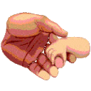 edu.GIF (8737 bytes)